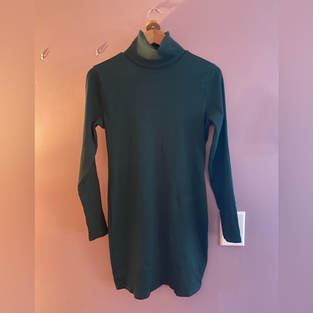 Wild Fable Turtleneck Dress